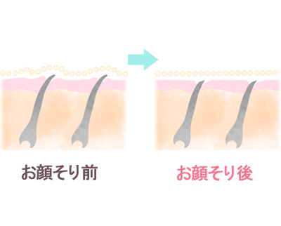産毛と古い角質でデコボコだった肌表面が平らになるから、ファンデが均一に乗る！